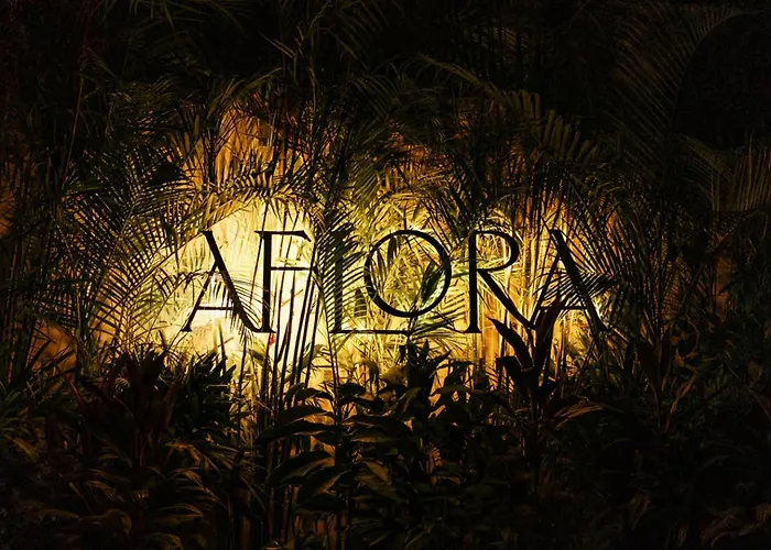 Hotel New! Aflora Retreat Tulum, Loft With Pool And Gym Tulum